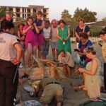 Aydın ve İzmir’de 9 yuvadan çıkan 469 caretta caretta yavrusu, denizle buluştu 5 aydin ve izmirde 9 yuvadan cikan 469 caretta caretta yavrusu denizle bulustu 4463b96b33d3