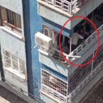 balkondan dusme tehlikesi geciren down sendromlu cocugu komsusu kurtardi o anlar kamerada 909307080c11