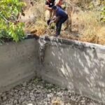 bos havuza dusen domuzu itfaiye kurtardi b21e83ea1e7f