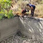 bos havuza dusen domuzu itfaiye kurtardi ee187bab76a6