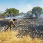 diyarbakirda 3 farkli noktada yangin 2si kontrol altinda biri suruyor c21a8d1af14d