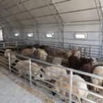 eskisehirde buyuksehir hayvan pazari kapatildi a32b9ee37c5e