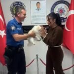 evden ziynet esyasi ile kopek calan supheli yakalandi 8888f488370e