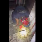 giderde mahsur kalan yavru kediyi itfaiye kurtardi 55f5f70b2a75