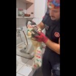 giderde mahsur kalan yavru kediyi itfaiye kurtardi 6f1325a8555b