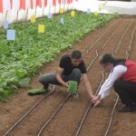 istanbul bakan yumakli vatandasimizin hayatina direkt etki eden butun konularda gece gunduz sahadayiz 1e93562141a4