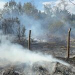 istanbul buyukcekmecede otluk alanda cikan yangin sonduruldu 12707a75d443