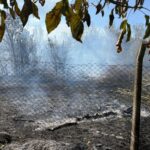 istanbul buyukcekmecede otluk alanda cikan yangin sonduruldu 819980ba484e