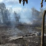 istanbul buyukcekmecede otluk alanda cikan yangin sonduruldu 9badc0c19704