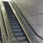 istanbul havalimaninda kedinin yuruyen merdivenle imtihani cd58fa2fbc16