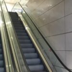 istanbul havalimaninda kedinin yuruyen merdivenle imtihani d10144718e9a