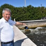 izmir korfezinde balik olumleri 7b25d4294576