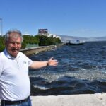 izmir korfezinde balik olumleri 9f74b538ba58