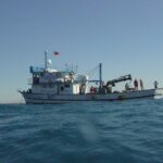 izmir korfezine ahtapotlar icin yapay resif 54faa3523f01