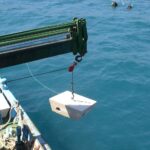 izmir korfezine ahtapotlar icin yapay resif 8ebcfb6e55ae