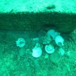 izmir korfezine ahtapotlar icin yapay resif c930b4b829c7