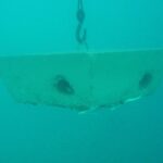 izmir korfezine ahtapotlar icin yapay resif dce004f0c8fc