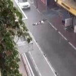 izmirde sokakta akima kapilan 2 kisinin olumune iliskin davada savcinin istedigi cezalar belli oldu 6912945f2b02