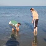 iznik golunde tarihi eser oldugu degerlendirilen sutun basliklari bulundu 21458d0aed9f