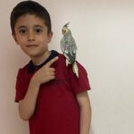kardesler gunlerdir pencereden kacan papaganlari zeytini ariyor 1a68de392c31