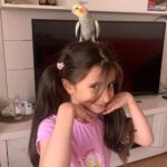 kardesler gunlerdir pencereden kacan papaganlari zeytini ariyor 4cc20a716142