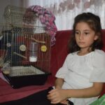 kardesler gunlerdir pencereden kacan papaganlari zeytini ariyor 7e9a24ed009f