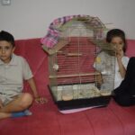 kardesler gunlerdir pencereden kacan papaganlari zeytini ariyor f156f89c3b51