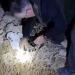 kirsehirde yasa disi avcilik denetimi video eklendi 72f883f0beec
