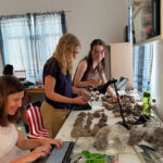 Koyun ve keçi Aşıklı Höyük’te evcilleştirilip dünyaya yayılmış 3 koyun ve keci asikli hoyukte evcillestirilip dunyaya yayilmis 769fd2a0d3ac