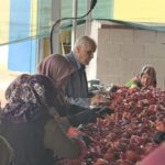 kulacali kadinlarin urettigi 1500 ton biber salcasi hollandaya ihrac edilecek 71e24e5b52c8