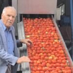 kulacali kadinlarin urettigi 1500 ton biber salcasi hollandaya ihrac edilecek bae53a83db28