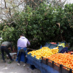 marmara icin kuvvetli ruzgar uyarisi 7e261f7e4dfe