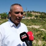 mersinde 1400 rakimda uzum hasadi 25ddb1154883