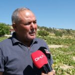 mersinde 1400 rakimda uzum hasadi e850c3c78b10