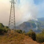 mugla koycegizdeki orman yangininda 108 ev bosaltildi 357 kisi tahliye edildi 2 713e1483f0de