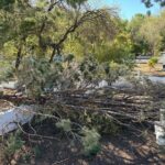 muglada firtina minarenin kulahi ile evlerin catilari uctu agaclar devrildi 47bd4f546dc5