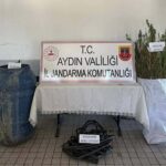 ormanda hint keneviri yetistiren 5 supheliye gozalti 28d1d76d2c89