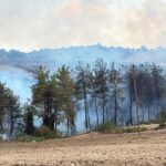 osmaniyede orman yangini b17f59d51cf6