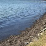 tekirdag kiyilarini yosun kapladi 3c1a73720394