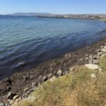 tekirdag kiyilarini yosun kapladi 4b7862eb8fd4