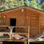 uludagda barakaya giren ayi esyalari parcaladi 3e367df2ced9