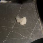 uyusturucu suphelisi kahvehanenin tuvaletinde yakalandi c89c5aa95c51