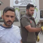 yarali buldugu sahini ekiplere teslim etti 641bcd72689a