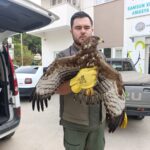yarali buldugu sahini ekiplere teslim etti 6455d7573b8c