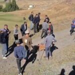 yuk treni buyukbas surusune carpti 5 inek oldu 36655ff14ede