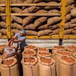 Fındık Tarımında Kuraklık Tehlikesi: Uzmanlar Modern Sulama Yöntemlerine Geçiş Yapılmasını Öneriyor 5 3lu kiskactaki findikta kurakliga karsi sulama sistemi onerisi 9d52f05efafc