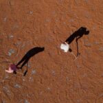 Fındık Tarımında Kuraklık Tehlikesi: Uzmanlar Modern Sulama Yöntemlerine Geçiş Yapılmasını Öneriyor 7 3lu kiskactaki findikta kurakliga karsi sulama sistemi onerisi d4f6b59efb5b