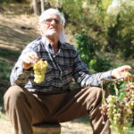80 yasinda her yil tonlarca uzumu kizakla koyune tasiyor 629f82596328
