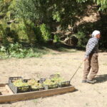 80 yasinda her yil tonlarca uzumu kizakla koyune tasiyor d9d830ac2ebe