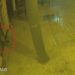 adanada 17 gun arayla 2 is yerinden hirsizlik yapan supheli yakalandi 0ab9dbea2b30